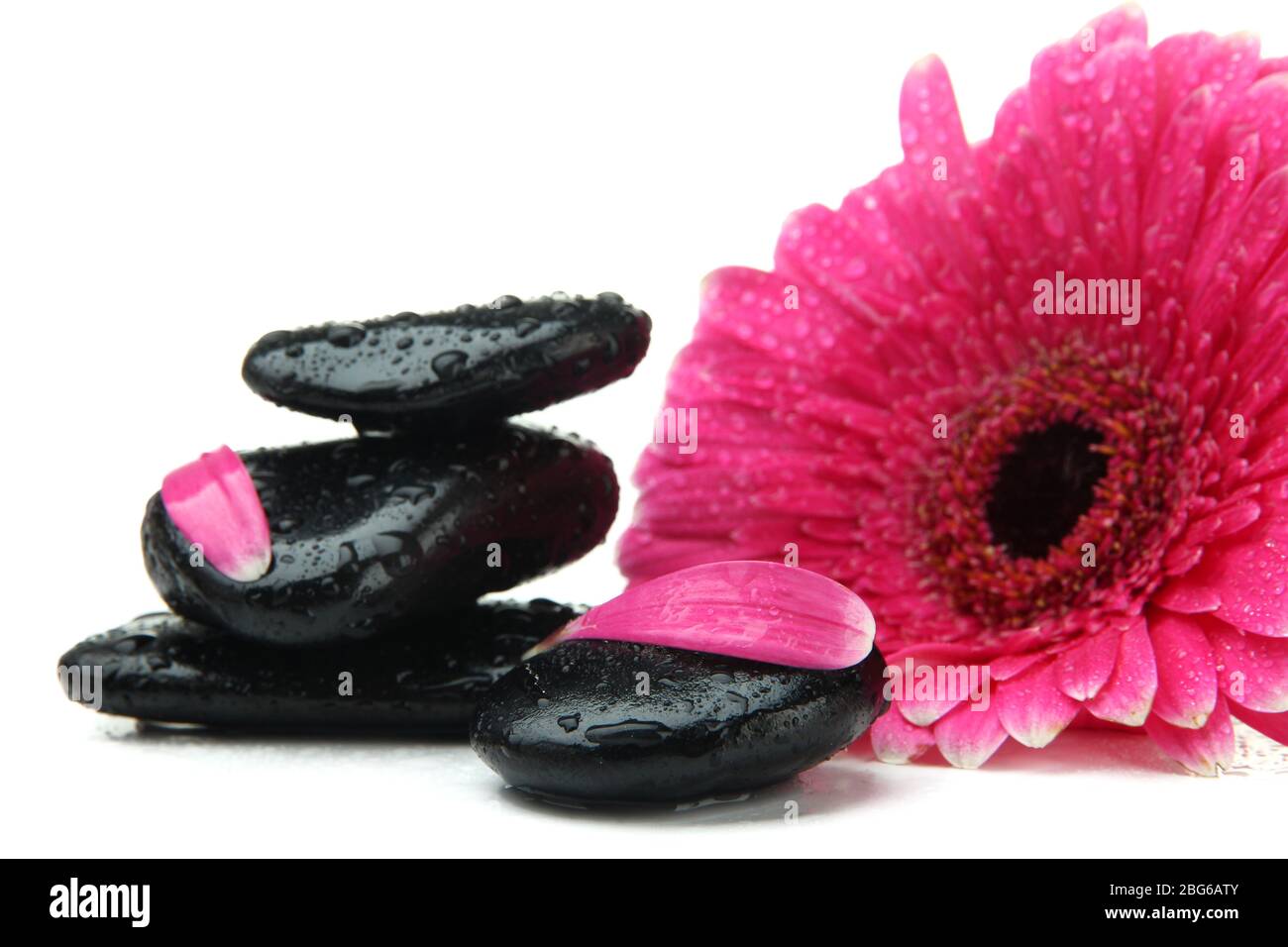 Spa stones and gerbera isolated on white Stock Photo - Alamy