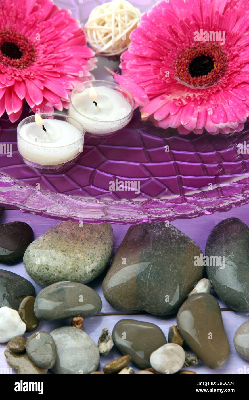 Beautiful gerbera flowers, stones and candles on water Stock Photo - Alamy