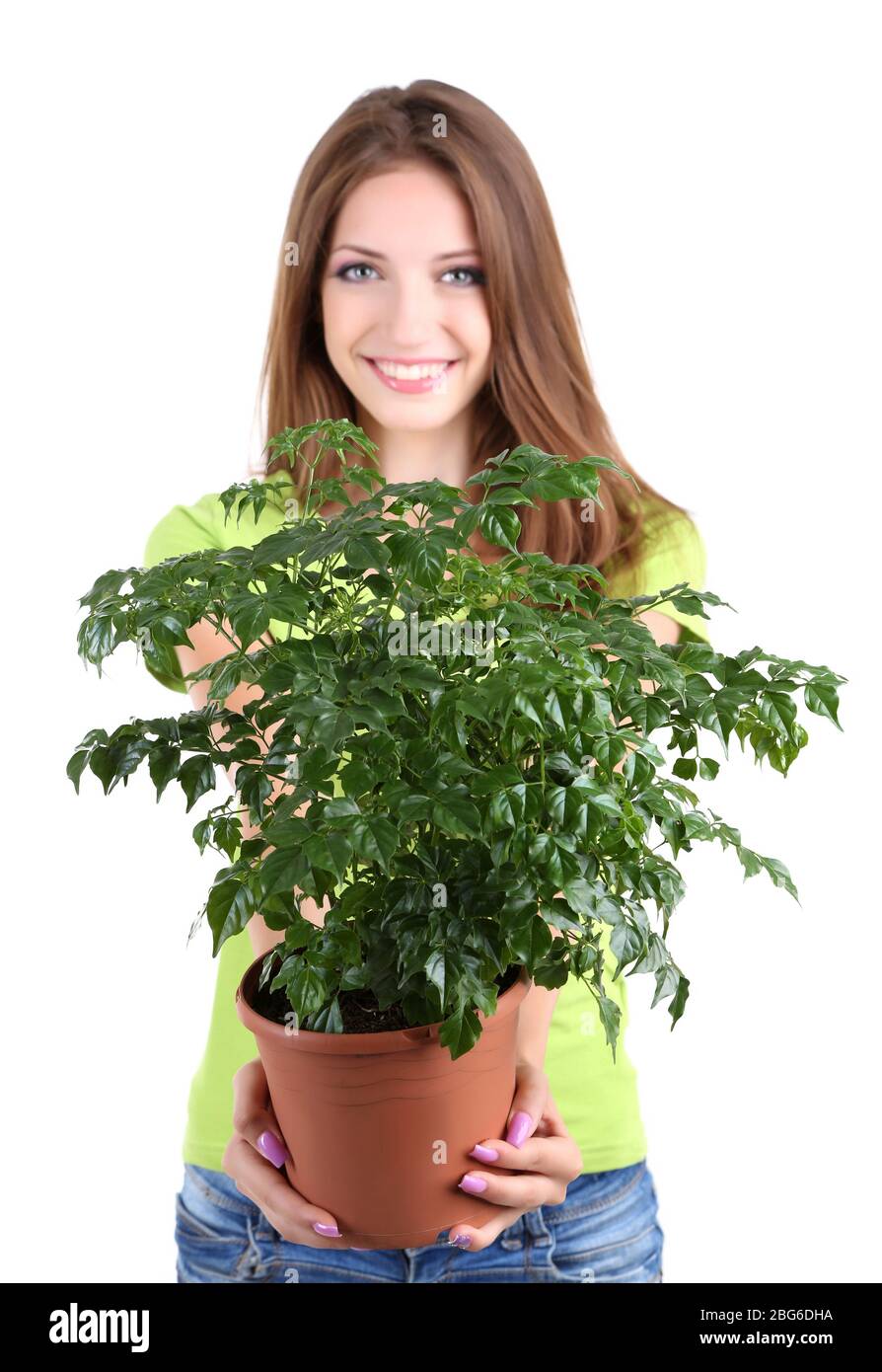 Beautiful girl with flower in pot isolated on white Stock Photo - Alamy