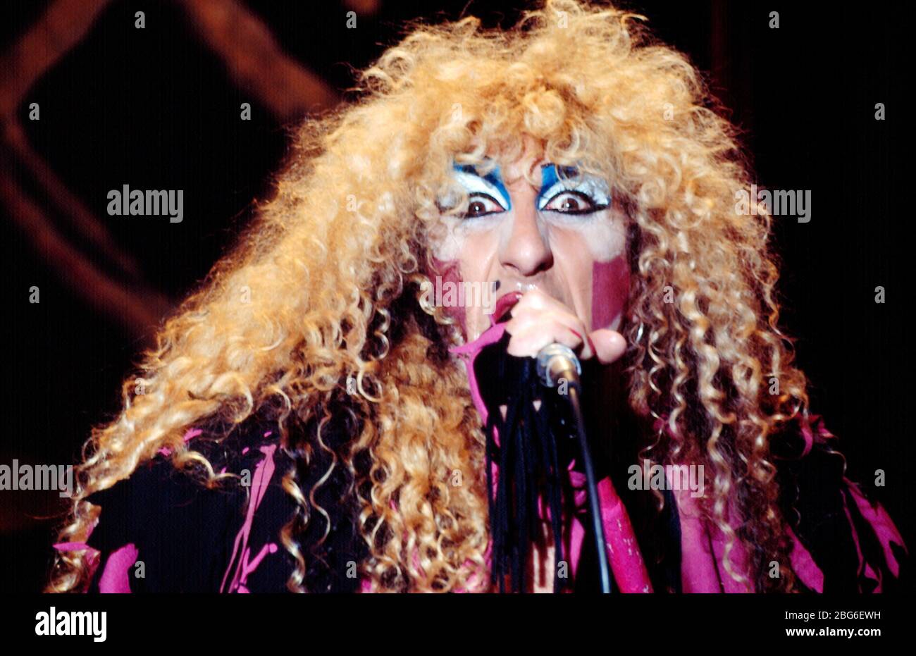 Dee Snider Young