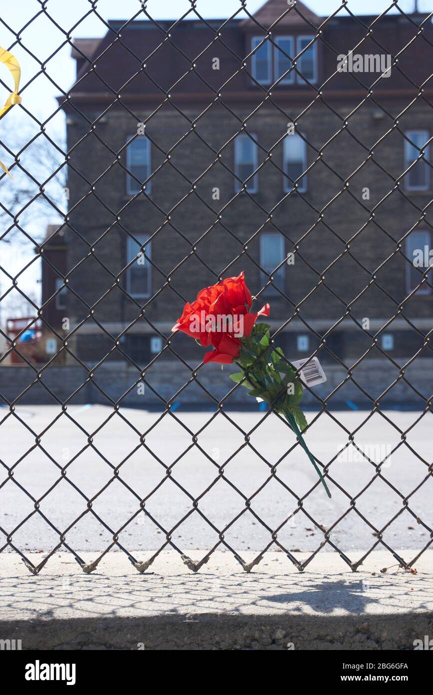 Fake flower put in fence outside church. Stock Photo
