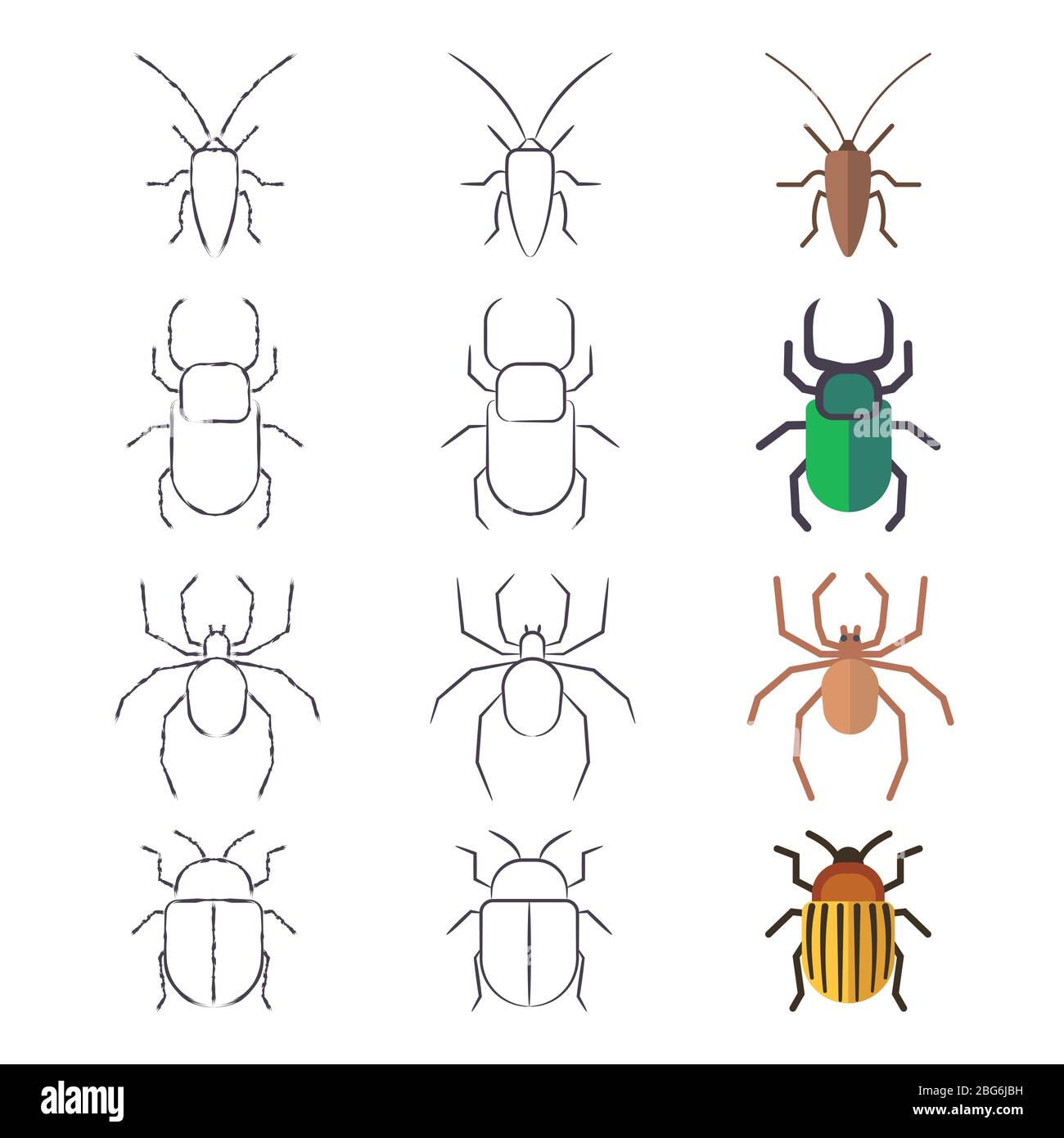 Pencil sketch, line and flat beetles, cockroach and spider. Vector illustration Stock Vector