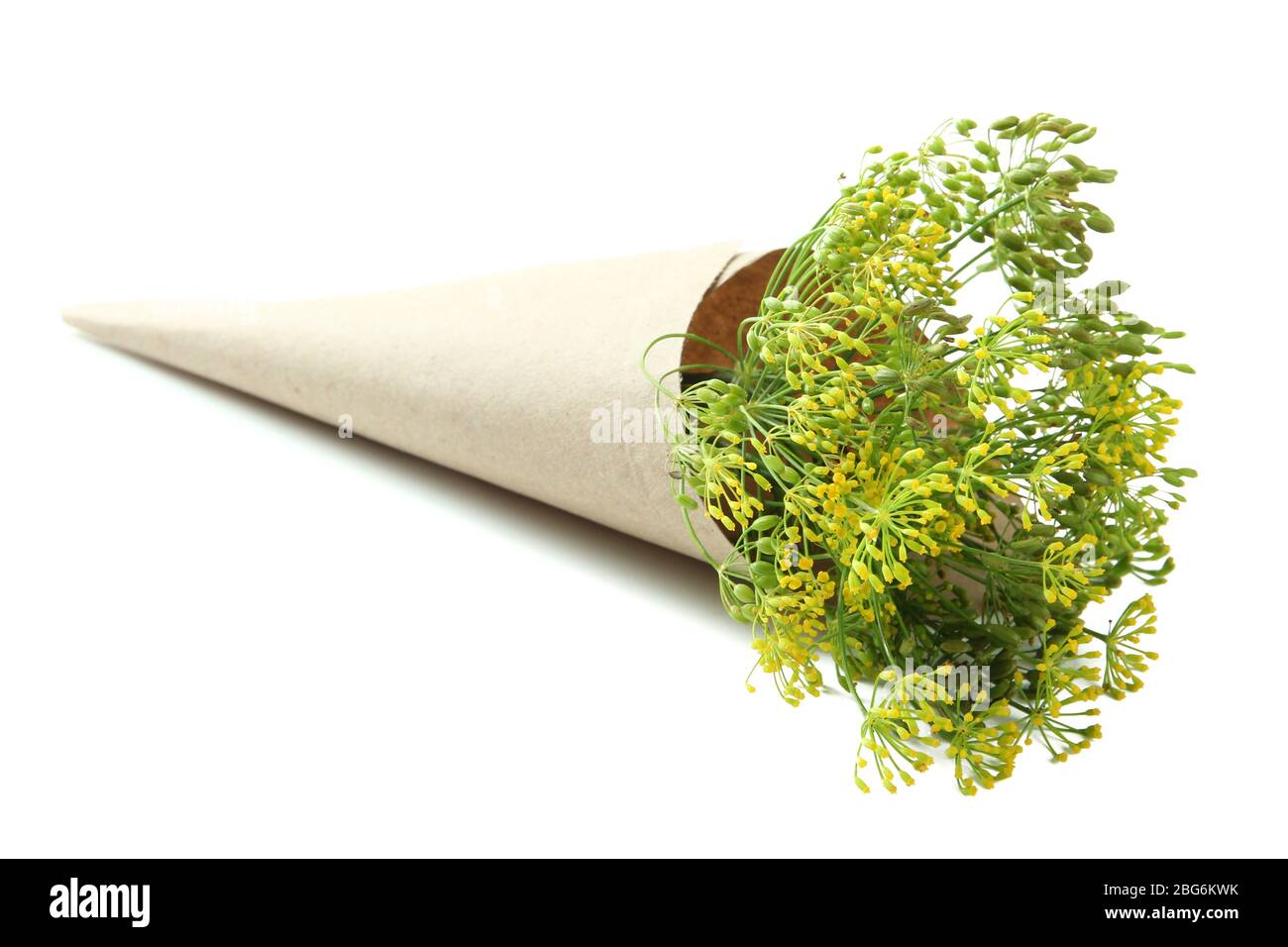 Fresh dill flowers, isolated on white Stock Photo Alamy