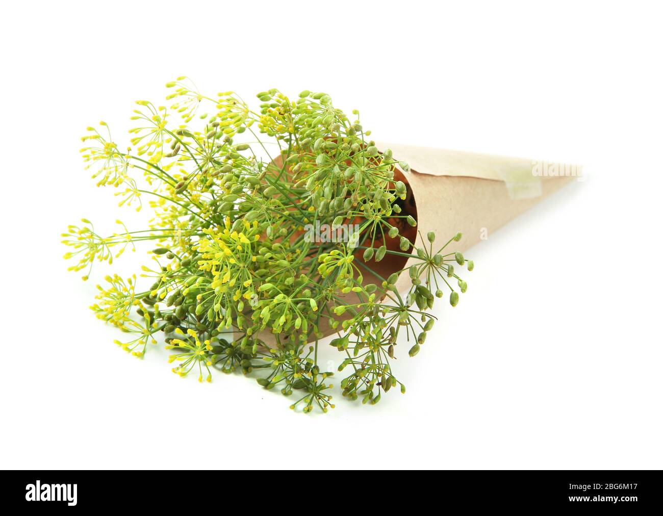 Fresh dill flowers, isolated on white Stock Photo Alamy