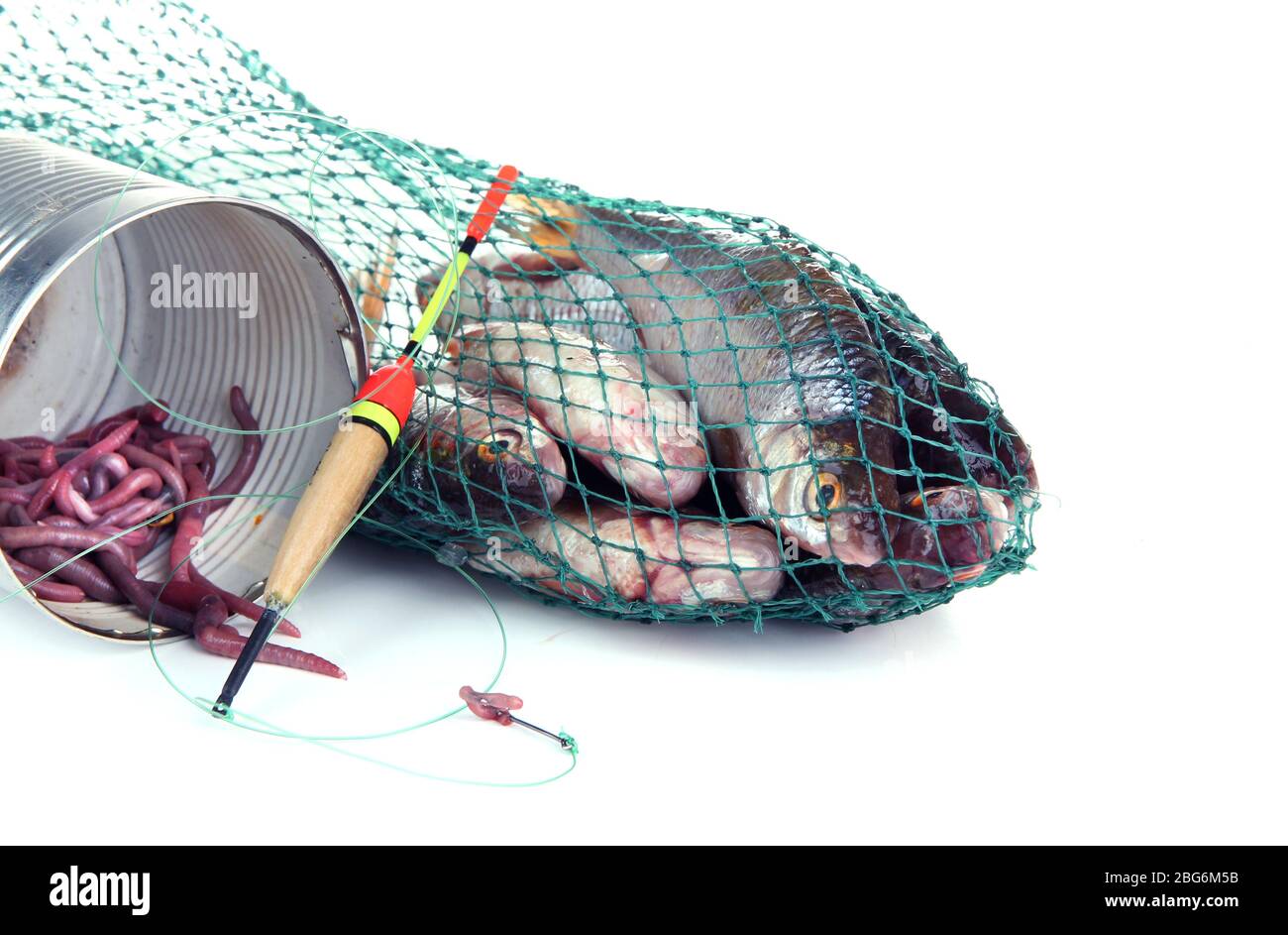 Illustration of fish caught in fishing net