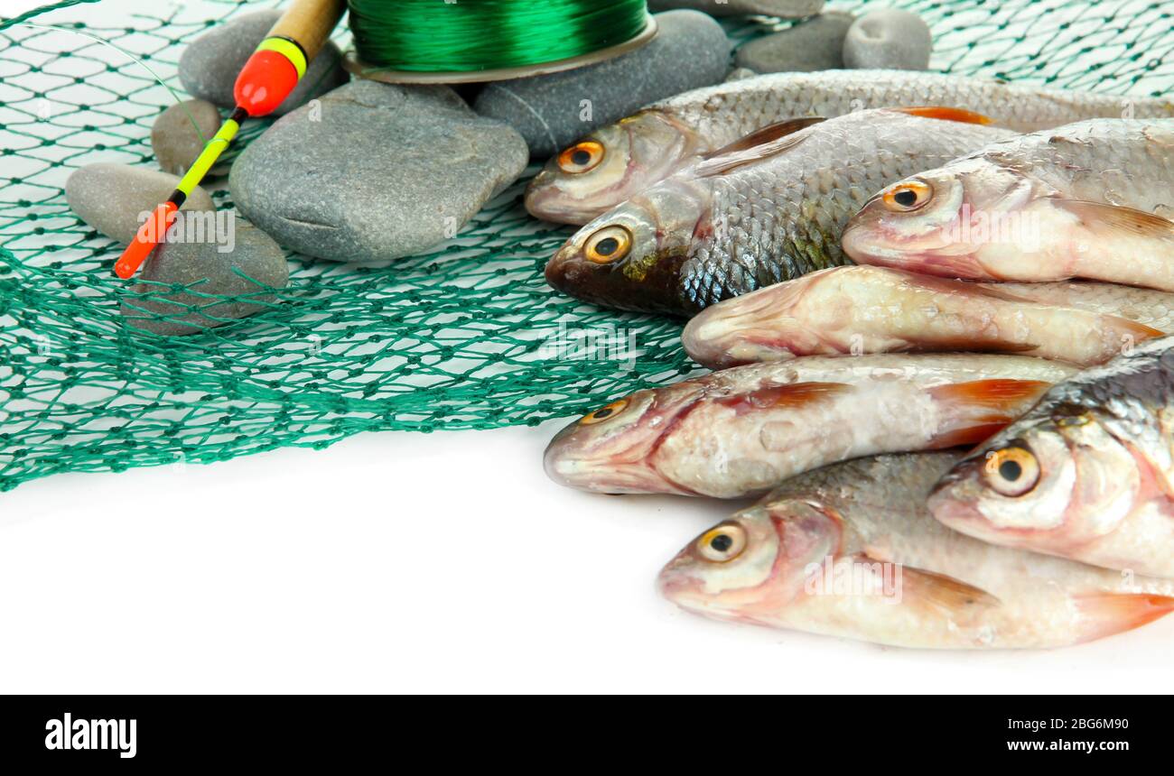 Fishes and fishing tools isolated on white Stock Photo Alamy