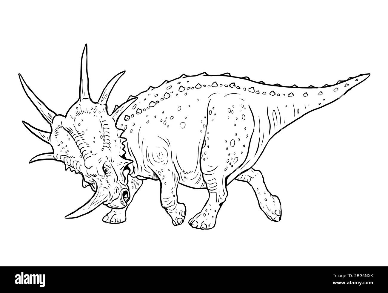 Herbivorous dinosaur - Styracosaurus. Dino outline drawing. Stock Photo