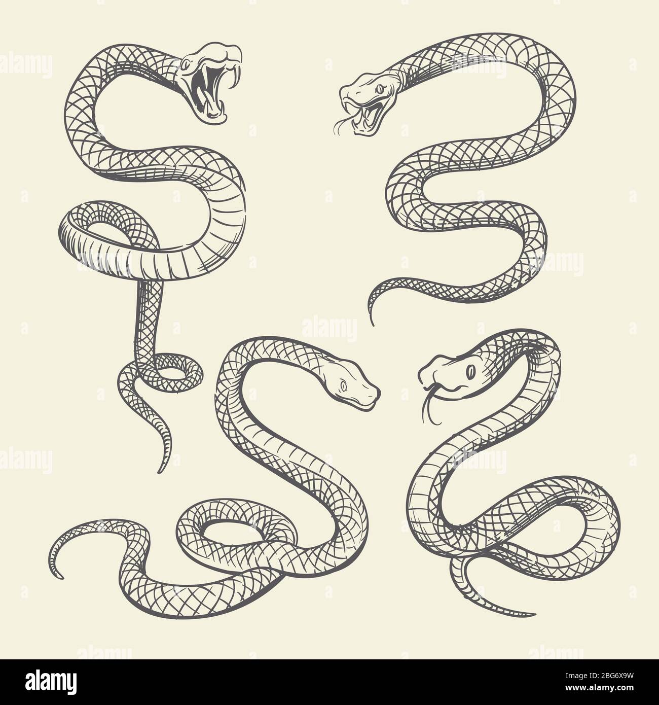 Hand drawing snake set. Wildlife snakes tattoo vector design isolated. Wild snake poisonous sketch, dangerous animal reptile illustration Stock Vector