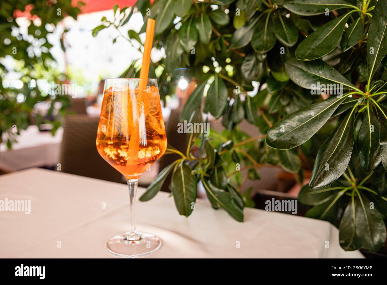 Orange aperol spritz alcoholic summer drink near green plant in cafe, bright background Stock Photo