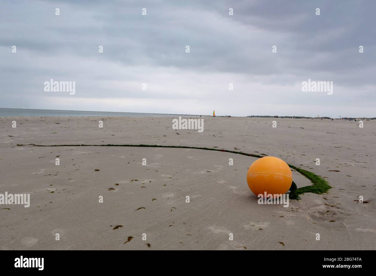 Yellow marker buoy with trailing rope covered in green seaweed trailing ...