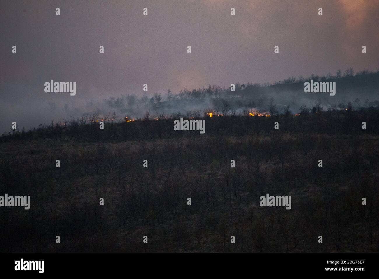 Kilpatrick Hills, Duntochter, Glasgow, UK. 20th Apr, 2020. Pictured: Huge plumes of dark smoke billow from a massive wildfire with massive flames on the Kilpatrick hills in Glasgow. Credit: Colin Fisher/Alamy Live News Stock Photo