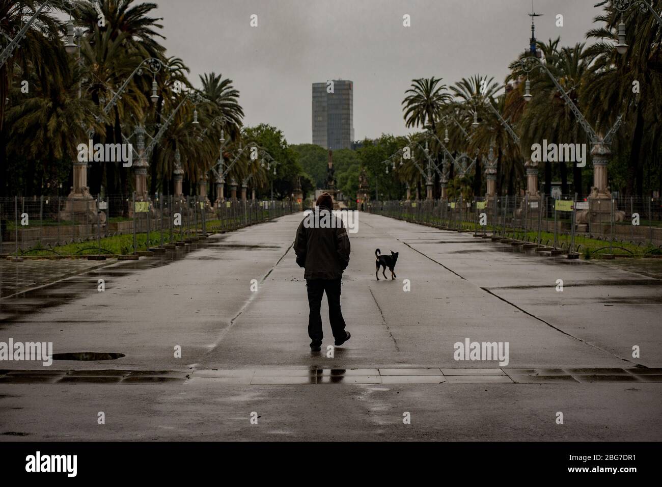 April 20, 2020, Barcelona, Catalonia, Spain - A man walks his dog under the rain by an empty avenue in Barcelona. Daily coronavirus deaths in Spain fall to 399, while confirmed cases now exceed 200,000. Credit:Jordi Boixareu/Alamy Live News Stock Photo