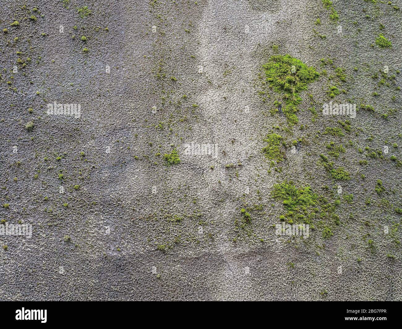 Texture concrete wall with growing green moss on the street Stock Photo ...