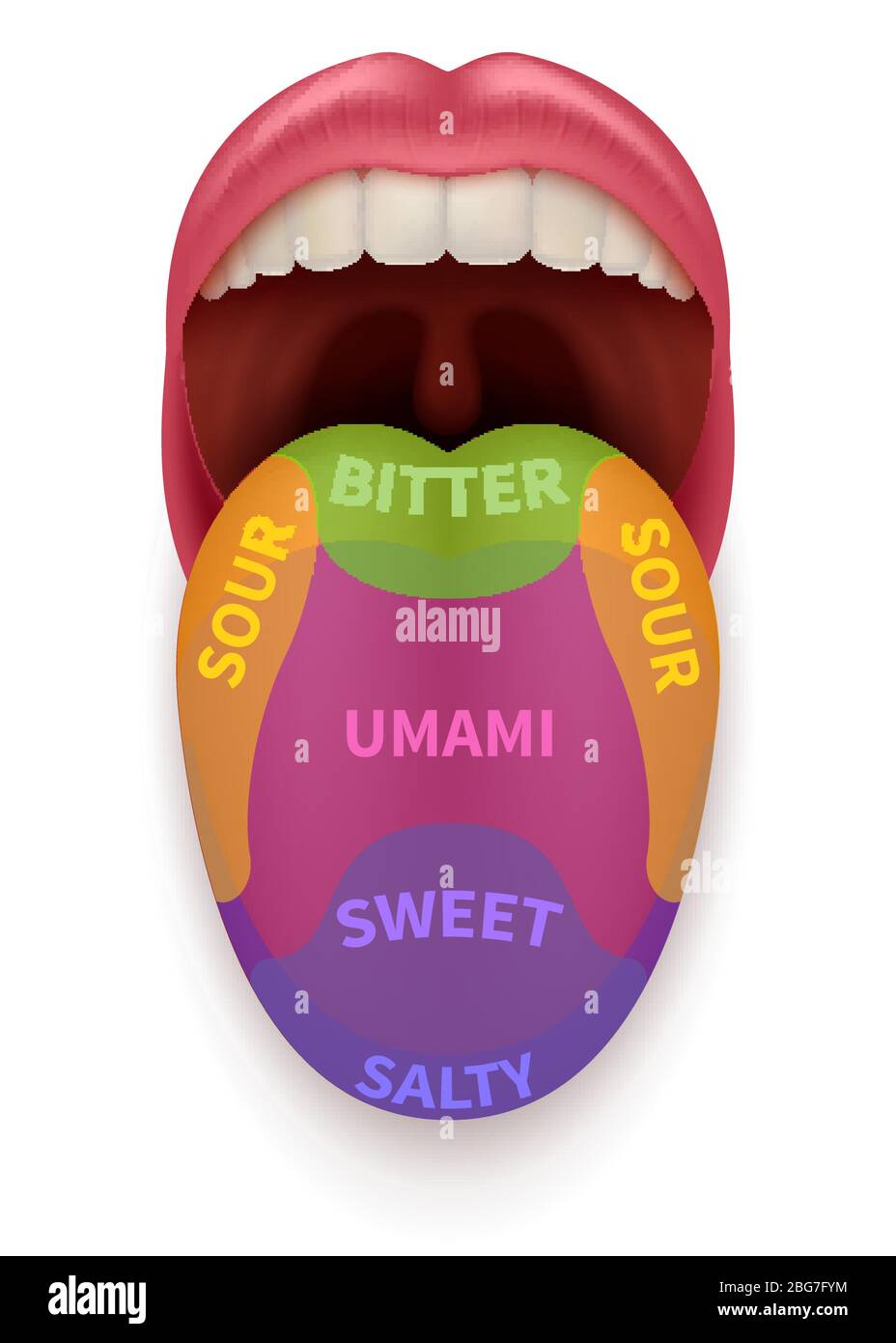 Tongue taste bitter Stock Vector Images Alamy