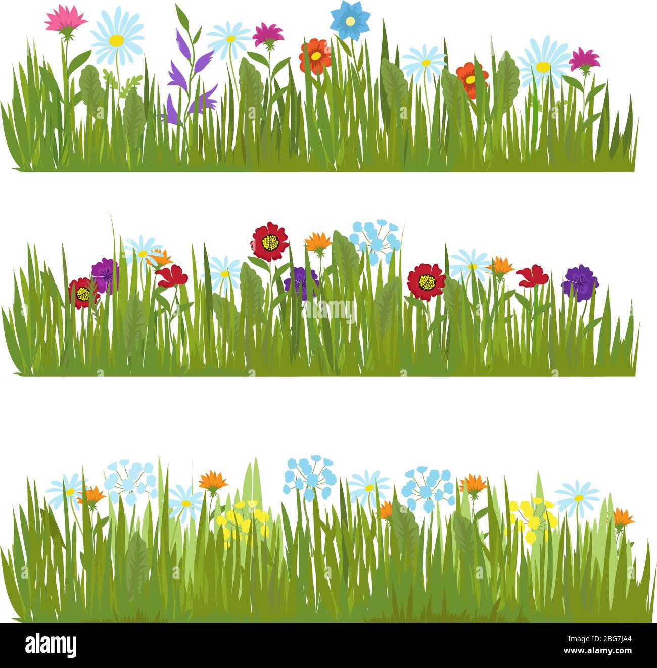 Summer grass with wild beautiful flowers vector borders. Color flower