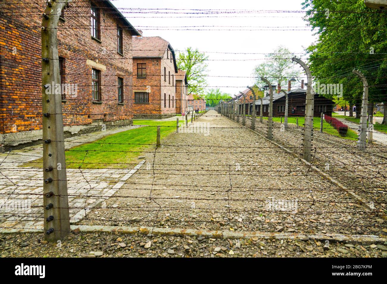 Auschwitz Birkenau Concentration Camp Oświęcim Barbed wire electrified fence Museum Southern Poland Europe EU UNESCO Stock Photo