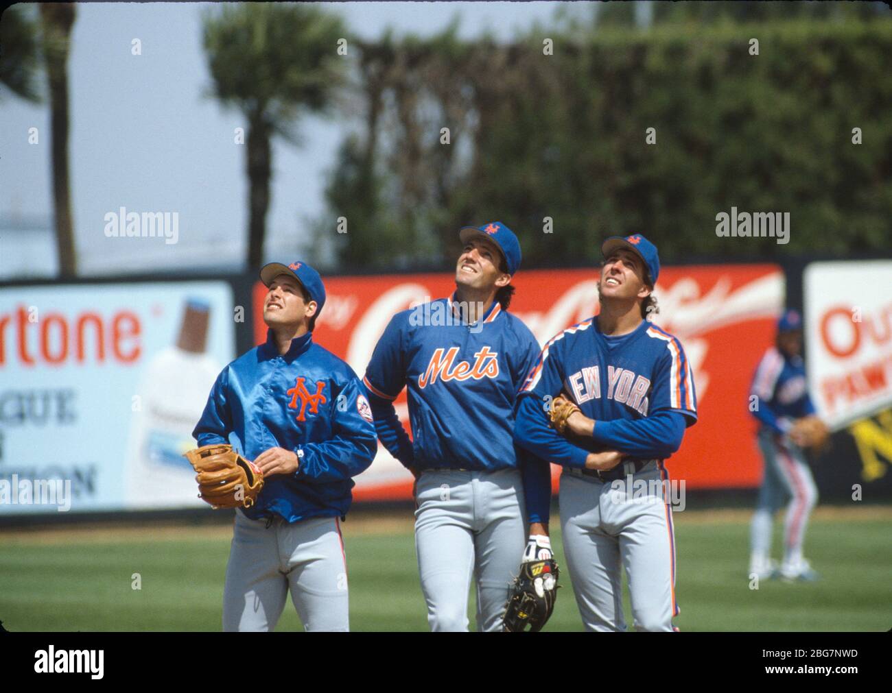 New York Mets players, from left, Gregg Jefferies, Dave Magadan, and Keith  Miller at the spring training baseball facility in Orlando, Florida on  March 12, 1989. Photo by Francis Specker Stock Photo - Alamy