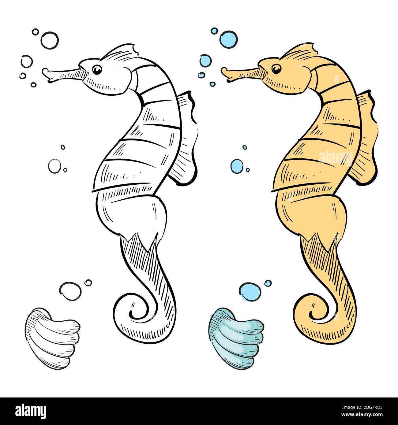 Ocean wild life coloring page. Hand drawn sea horse and shell isolated on white background. Vector illustration Stock Vector