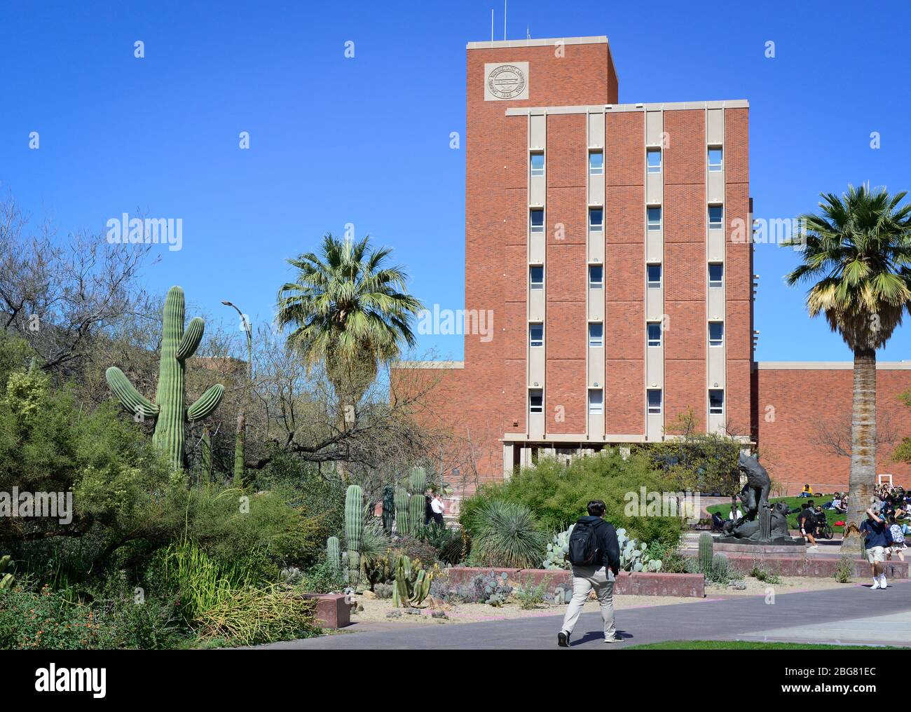 Cacti garden landscaping surrounds the Graduate College building with  students relaxing on the grass at the University of Arizona campus in  Tucson, AZ Stock Photo - Alamy