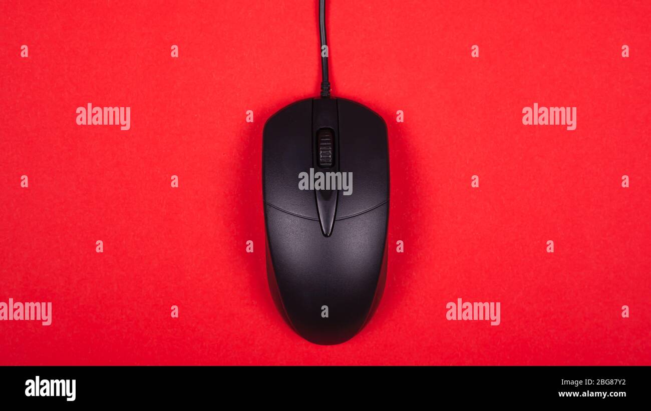 computer black mouse on red background top view. Stock Photo