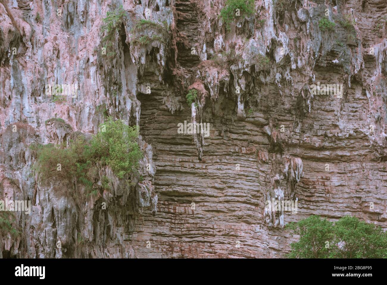 Cliff wall covered with green foliage Stock Photo