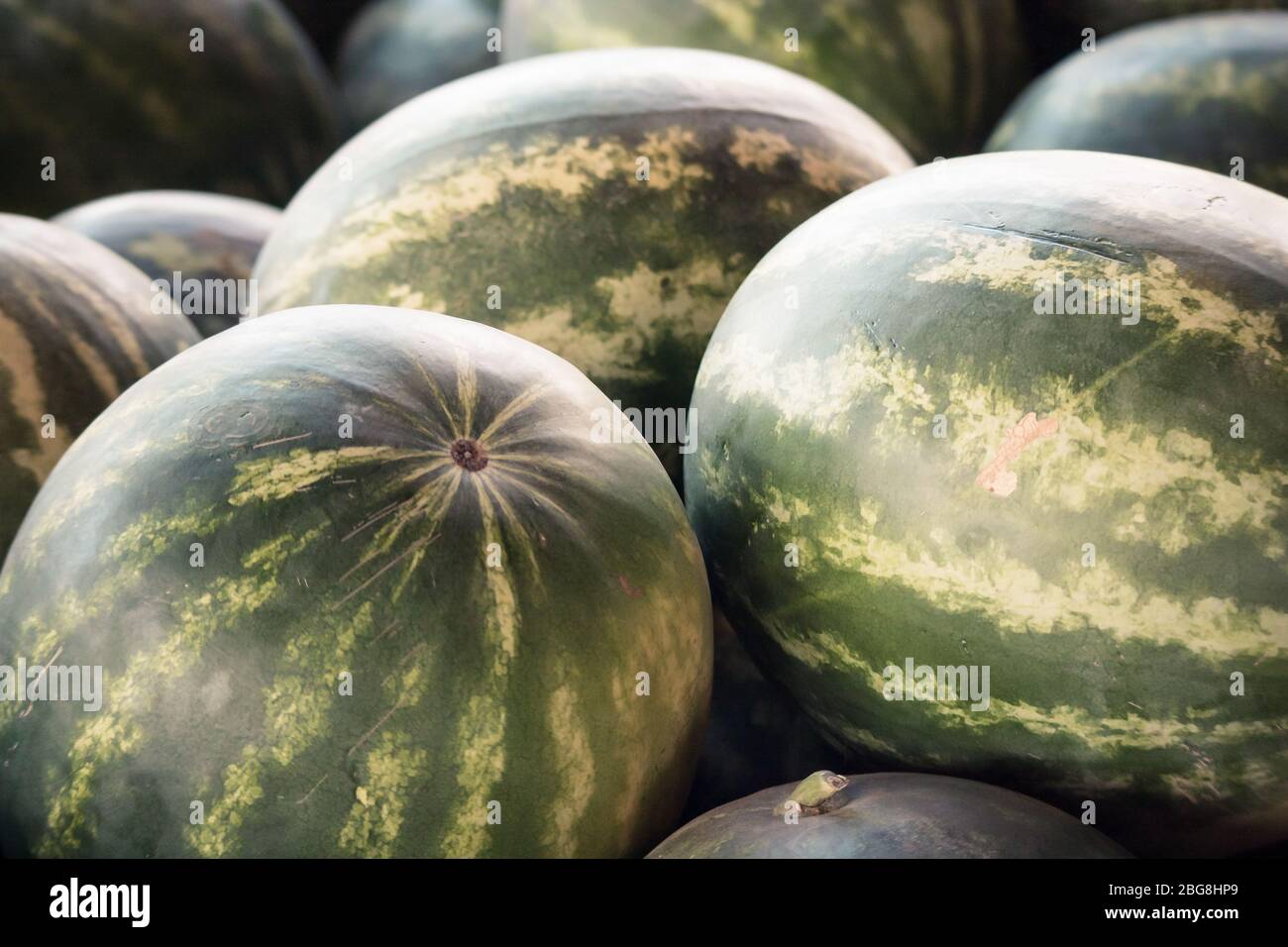 A group of watermelons Stock Photo Alamy