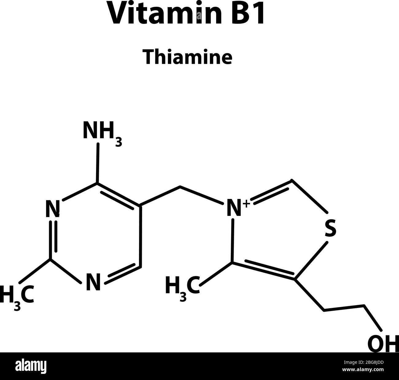 balkon sieraden Recensie Vitamin B1. Thiamine Molecular chemical formula. Infographics. Vector  illustration on isolated background Stock Vector Image & Art - Alamy
