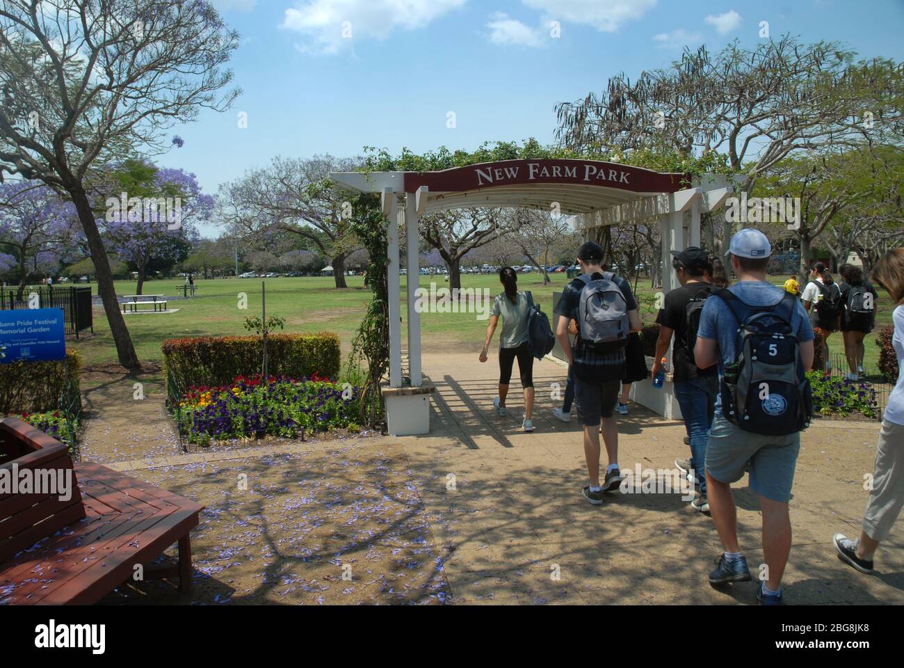 New Farm Park, Brisbane Queensland Australia. Stock Photo