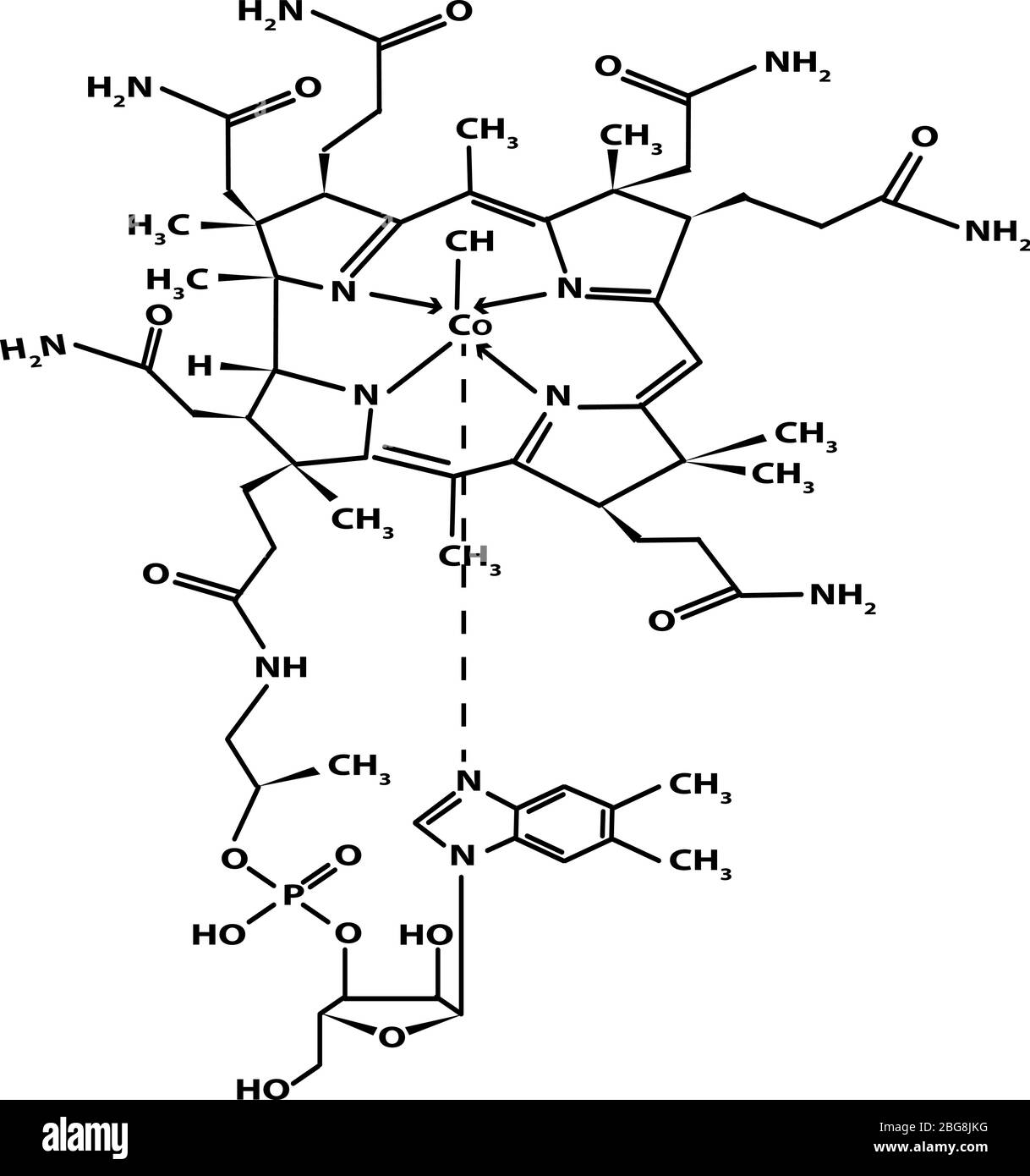 Vitamin B12. cyanocobalamin Molecular chemical formula. Infographics. Vector illustration on isolated background. Stock Vector