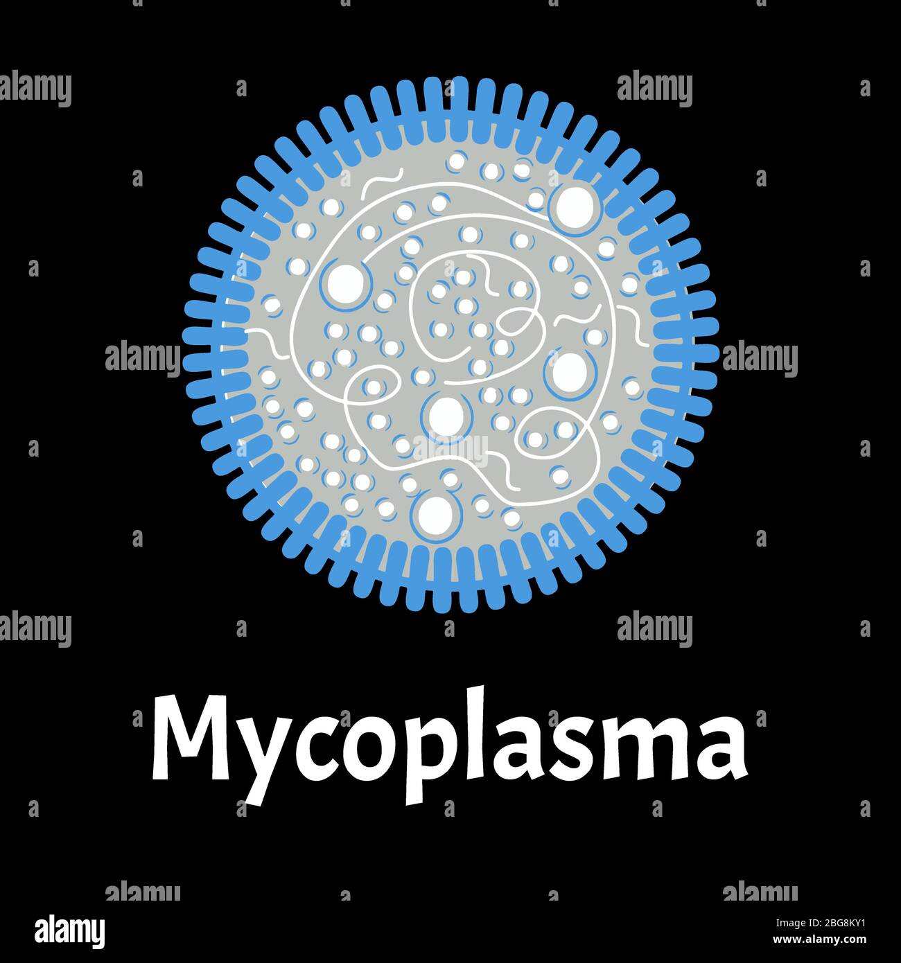 Mycoplasma. Bacterial infections Mycoplasma. Sexually transmitted diseases. Infographics. Vector illustration on isolated background. Stock Vector