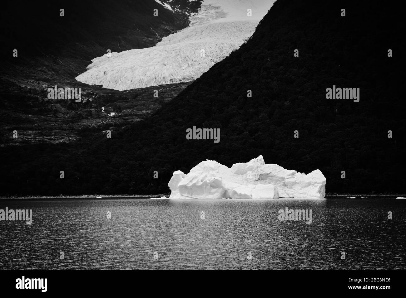 iceberg and glacier tongue with rain forest at Lago Argentino, patagonia, Argentina. Monochrome Stock Photo