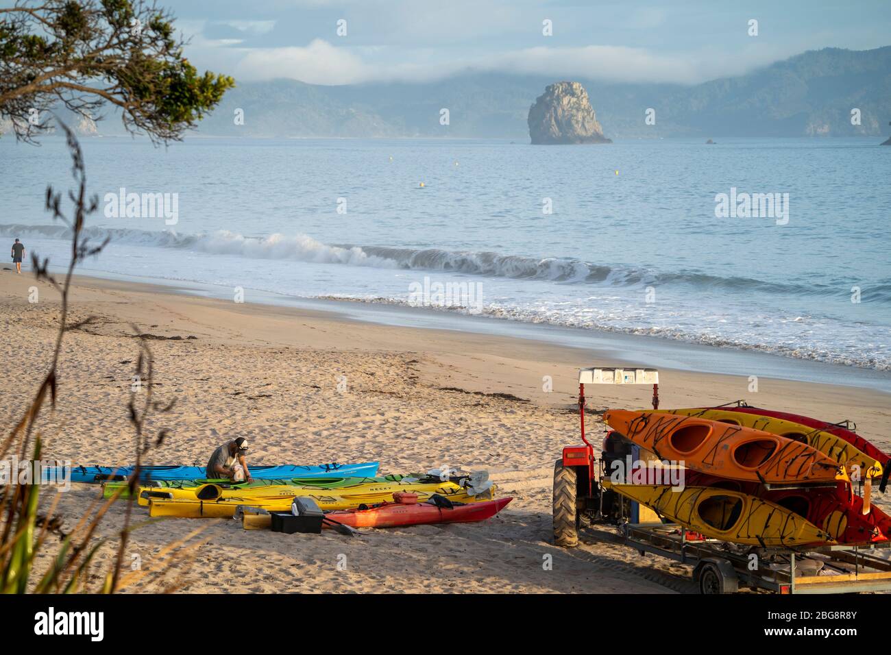 Kayaks on Hahei Beach, Coromandel Peninsula, North Island, New Zealand  Stock Photo - Alamy