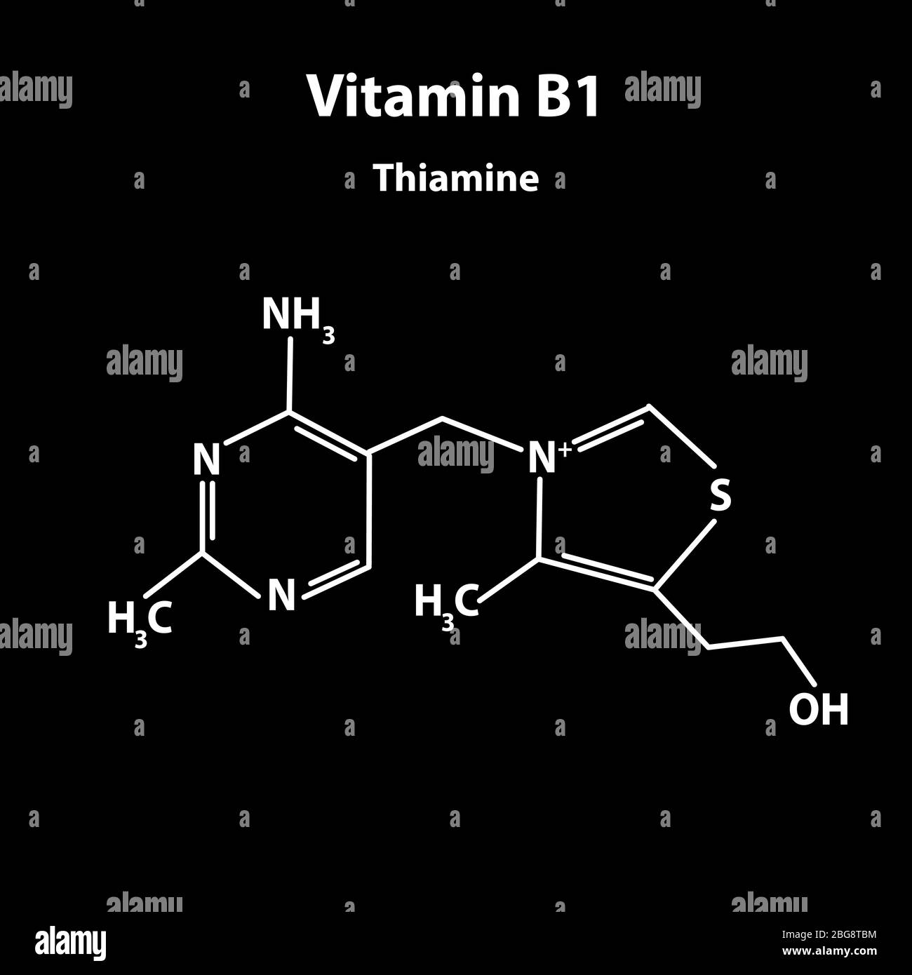 Vitamin B1. Thiamine Molecular chemical formula. Infographics. Vector