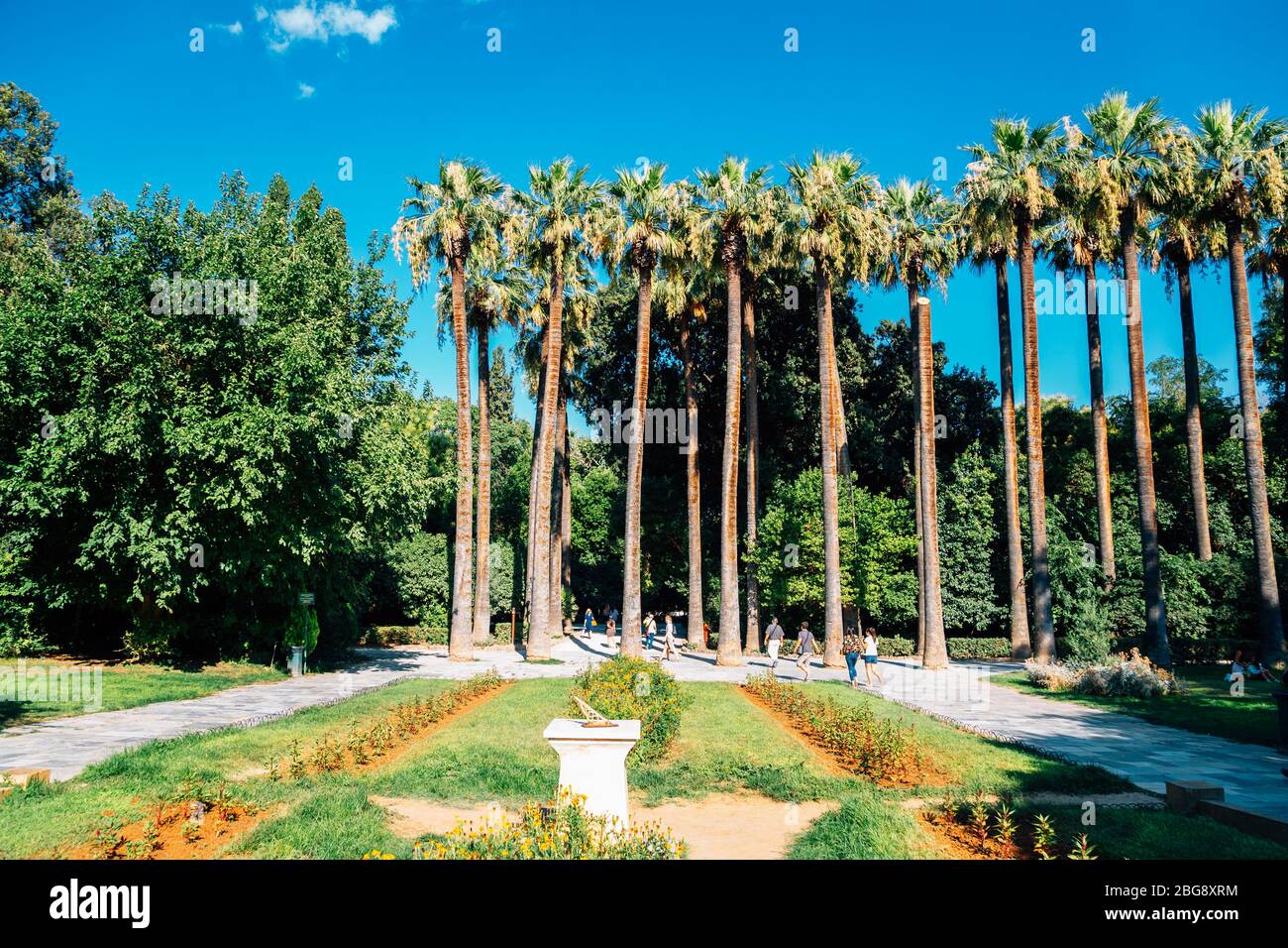 National Garden palm trees in Athens, Greece Stock Photo Alamy