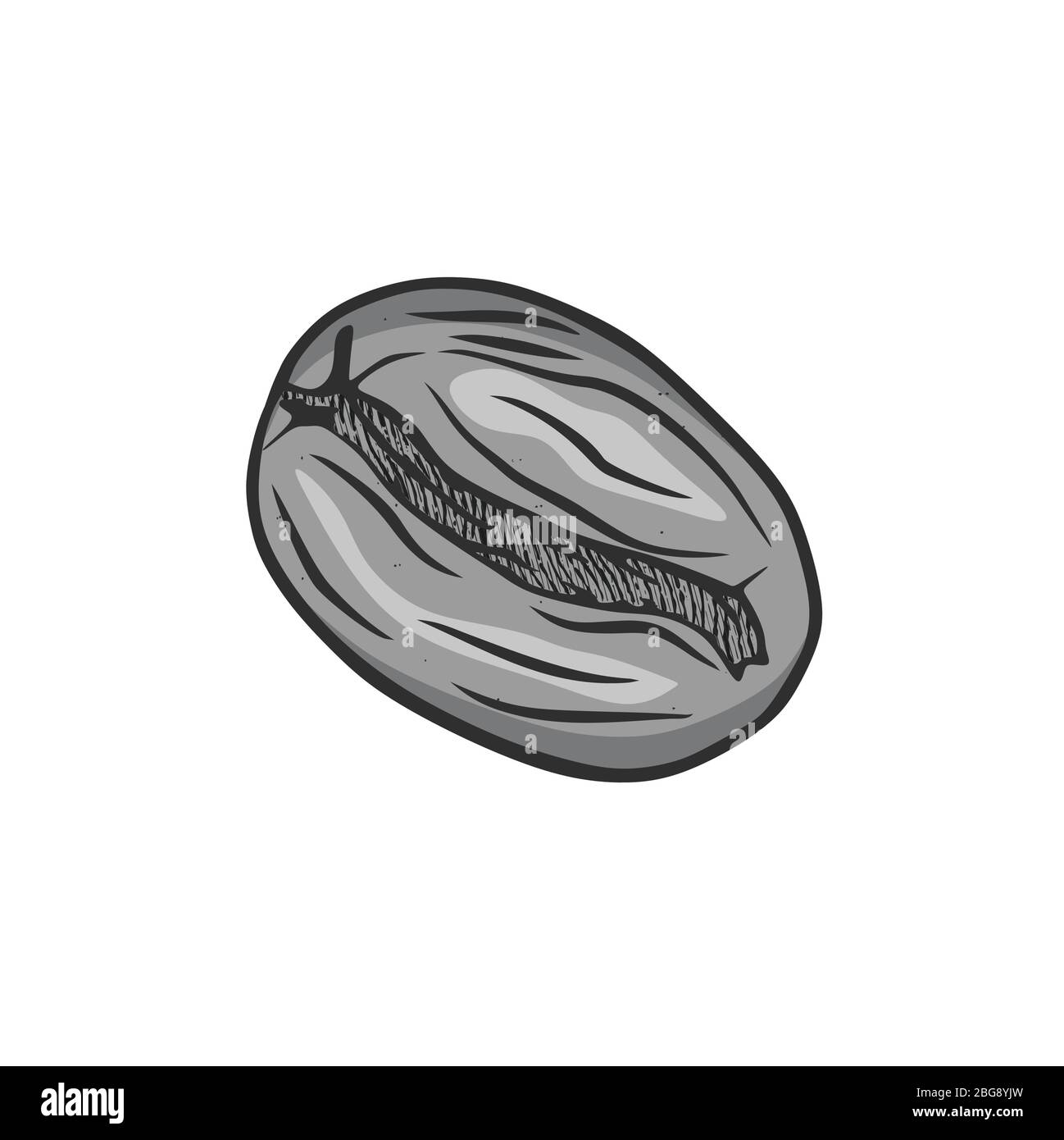 hand drawn coffee bean logo. engraving texture. vector illustration ...