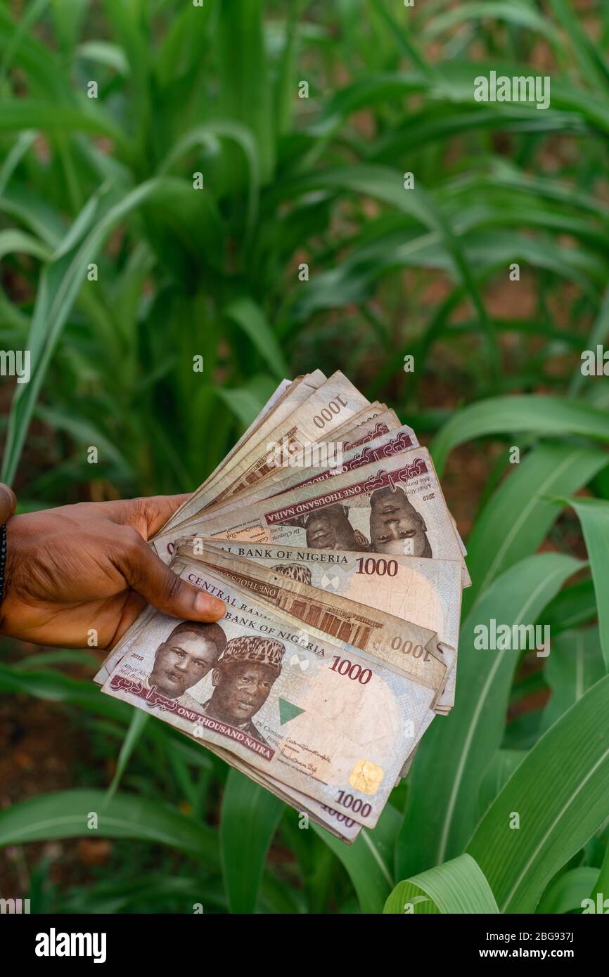 Nigeria Naira Currency Money Stock Photo Alamy