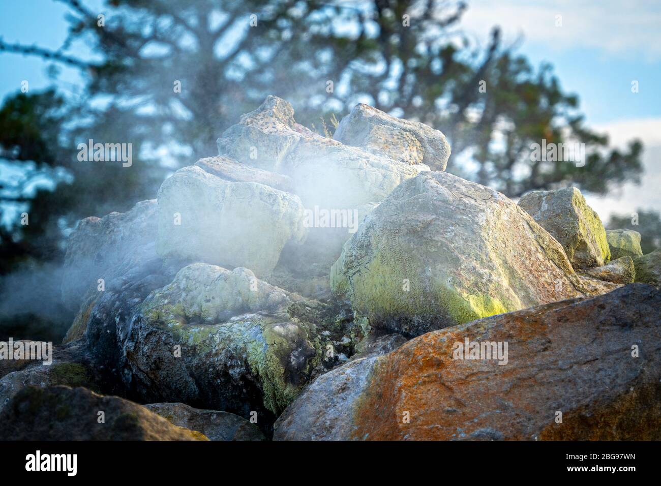 Steam escaping from vent at Kuirau Park, Rotorua, North Island, New Zealand Stock Photo