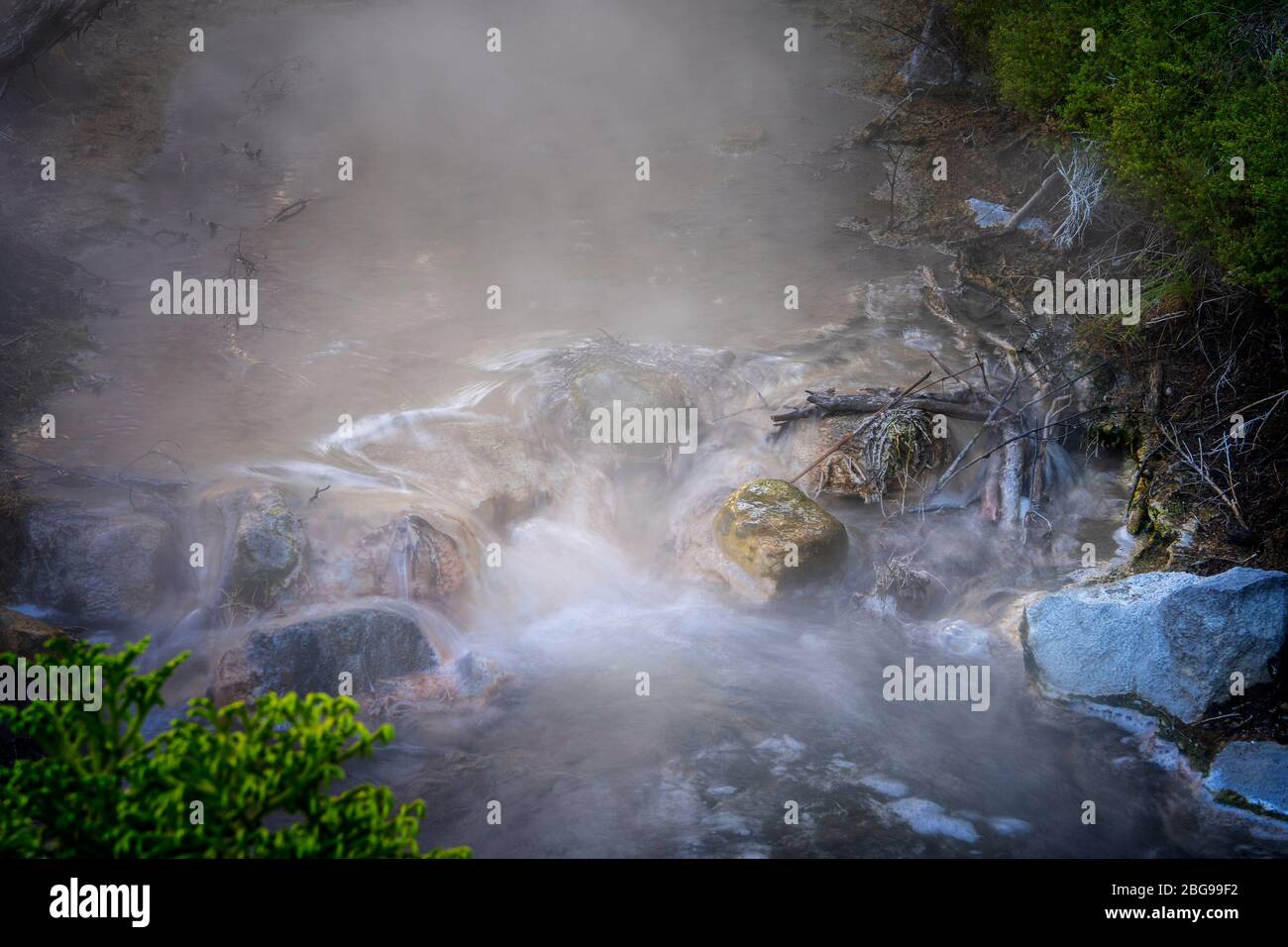Steam rising from hot water stream Boiling Lake, Kuirau Park, Rotorua, North Island, New Zealand Stock Photo