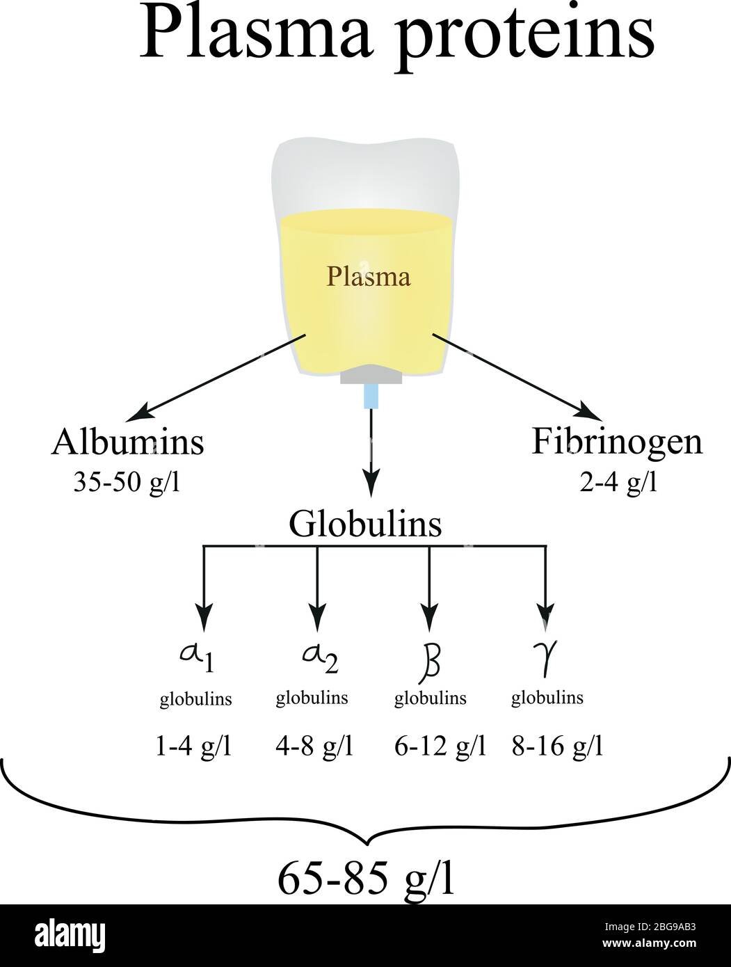 протеин белок плазмы. Blood plasma proteins. Plasma proteins. Electrophoresis metal. Plasma proteins.