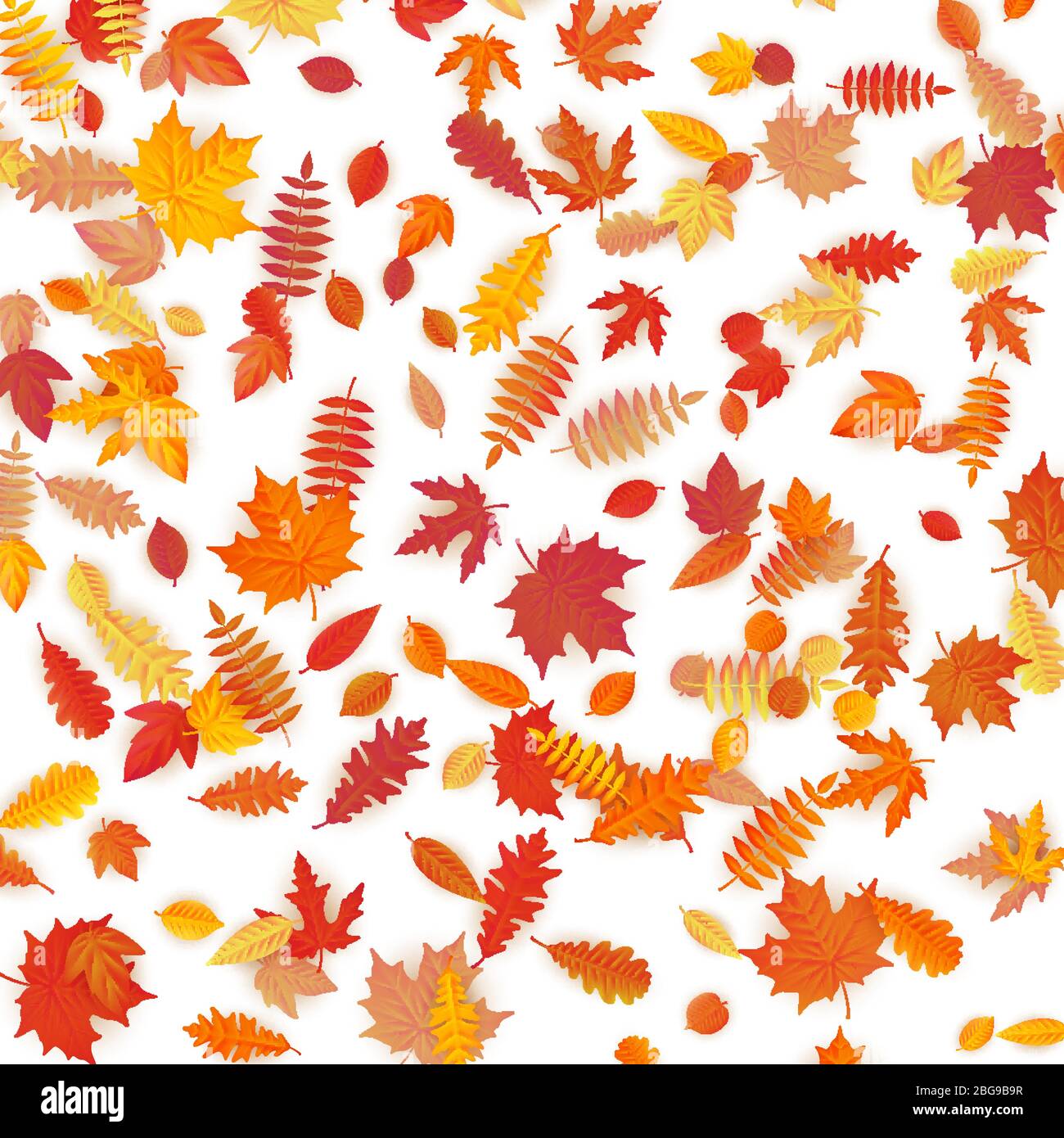 Background of colored wet autumnal maple leaves. EPS 10 Stock Vector ...