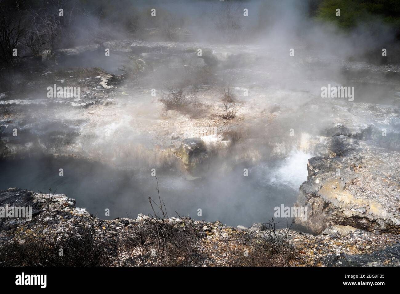 Geothermal Hot Spring Whakarewarewa Valley Rotorua North Island New