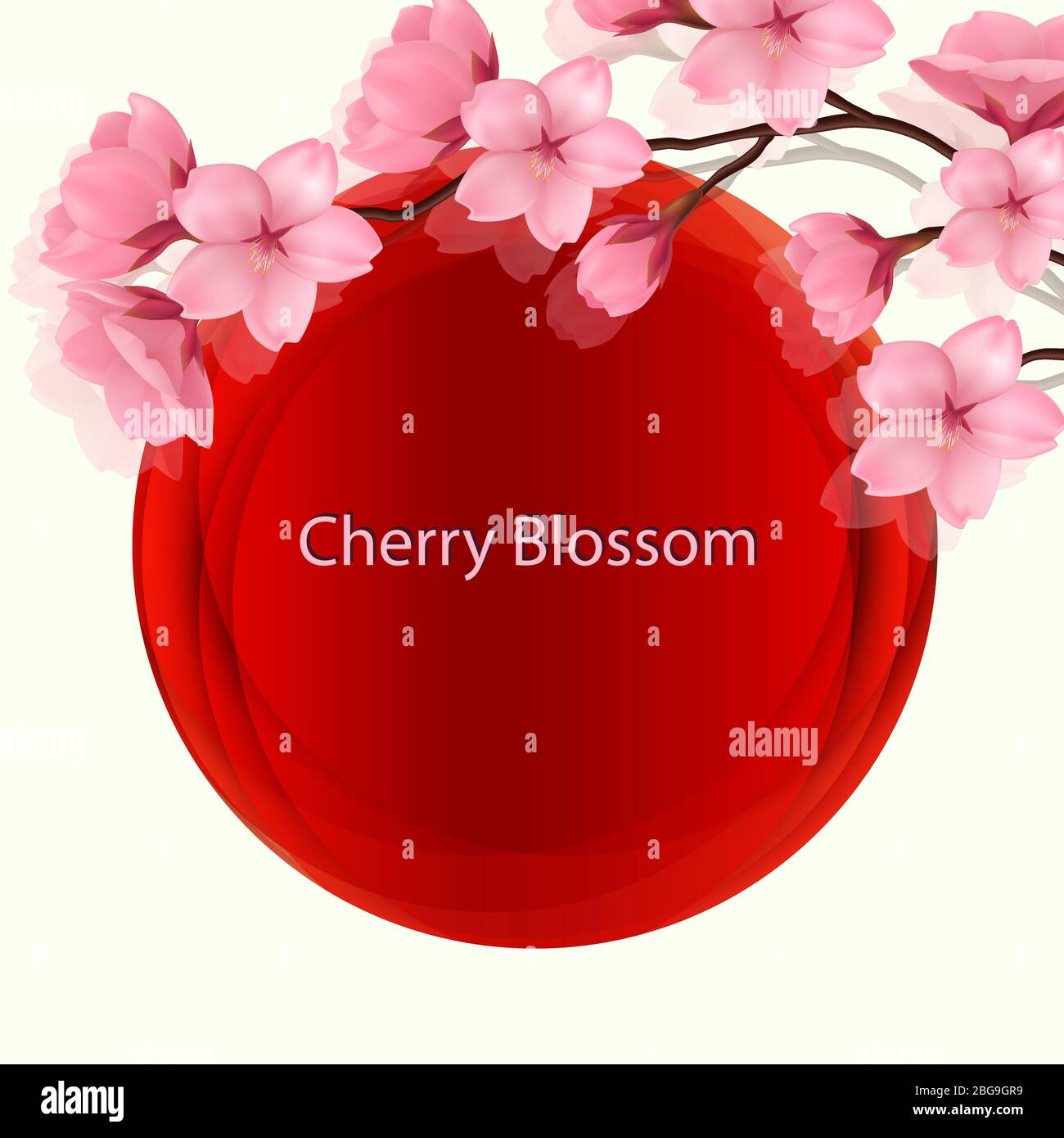 Sakura flowers or cherry blossom with circle red in oriental theme. Vector illustration of sakura branch with red sun background, cherry blossom vector. Japanese illustration for eps 10. Stock Vector