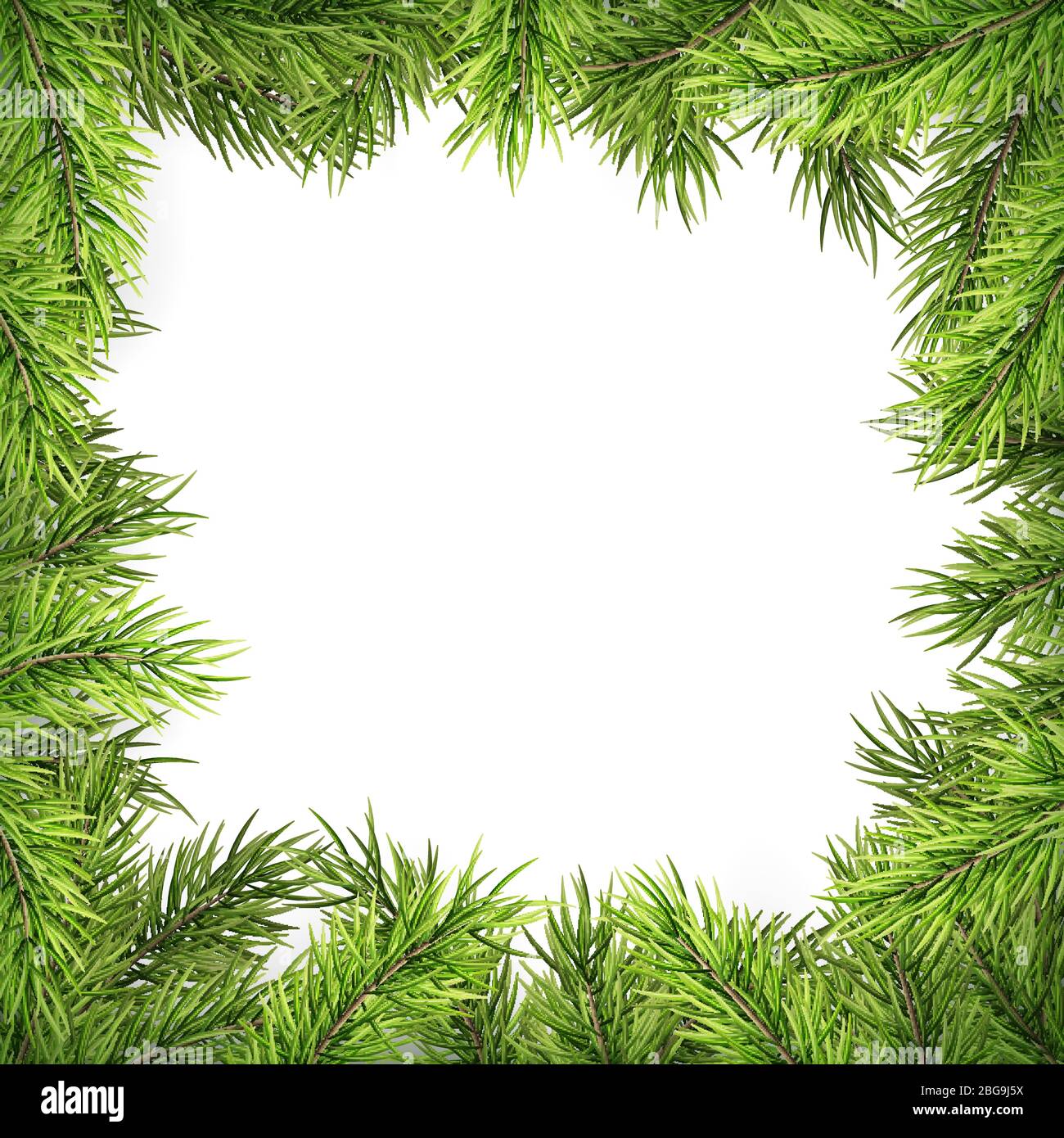 Christmas frame with pine branches and shadow isolated on white. EPS 10 ...