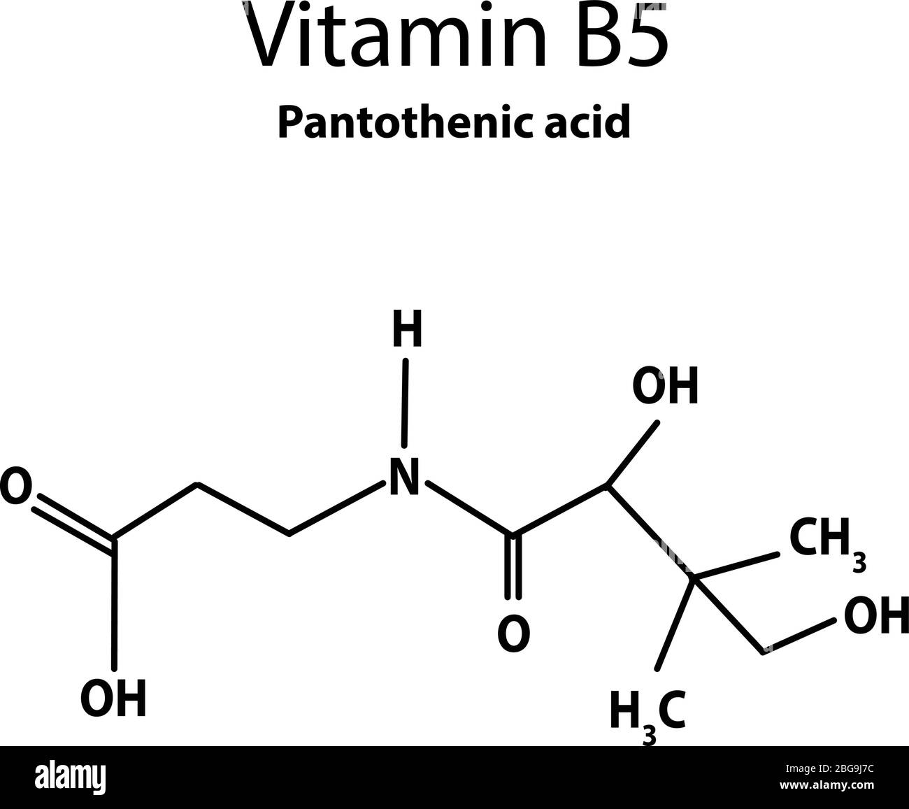 Vitamin B5. Pantothenic acid Molecular chemical formula. Infographics. Vector illustration on isolated background. Stock Vector