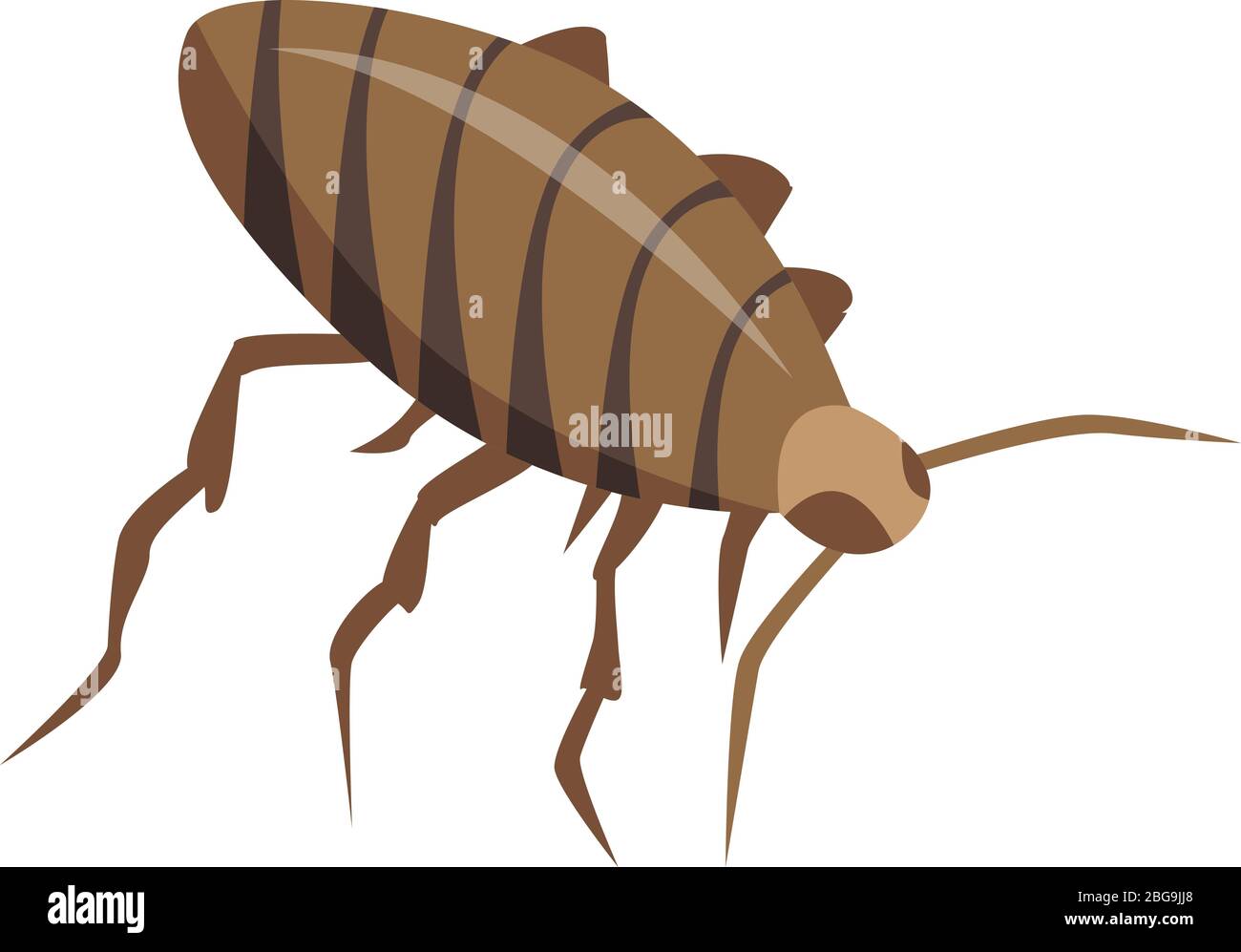 Cockroach insect icon, isometric style Stock Vector Image & Art - Alamy