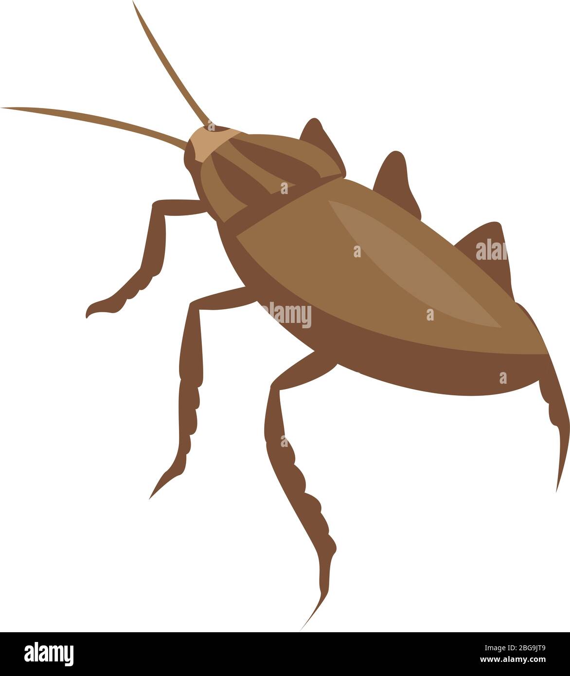 Nature cockroach icon, isometric style Stock Vector