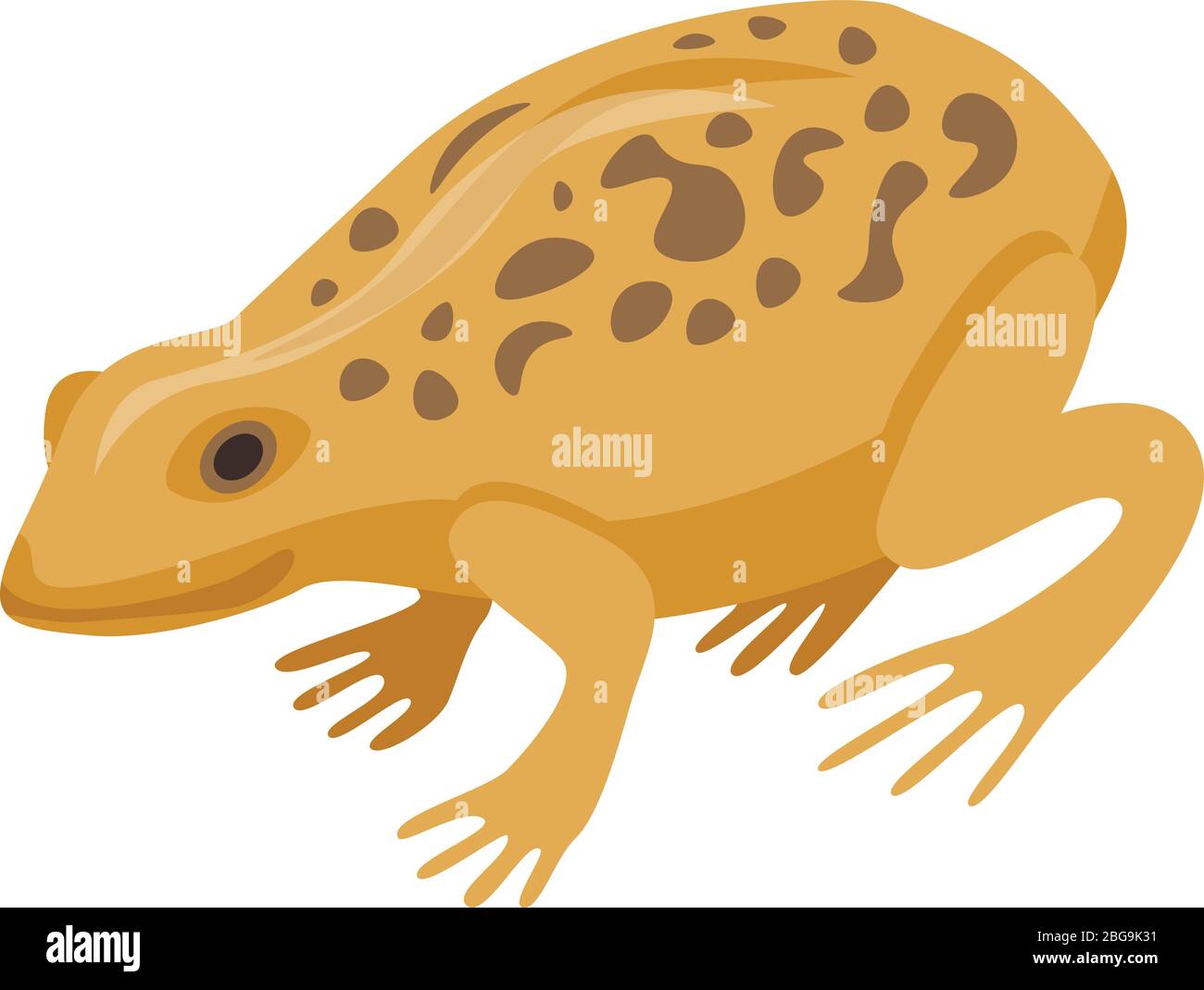 Ground frog icon, isometric style Stock Vector