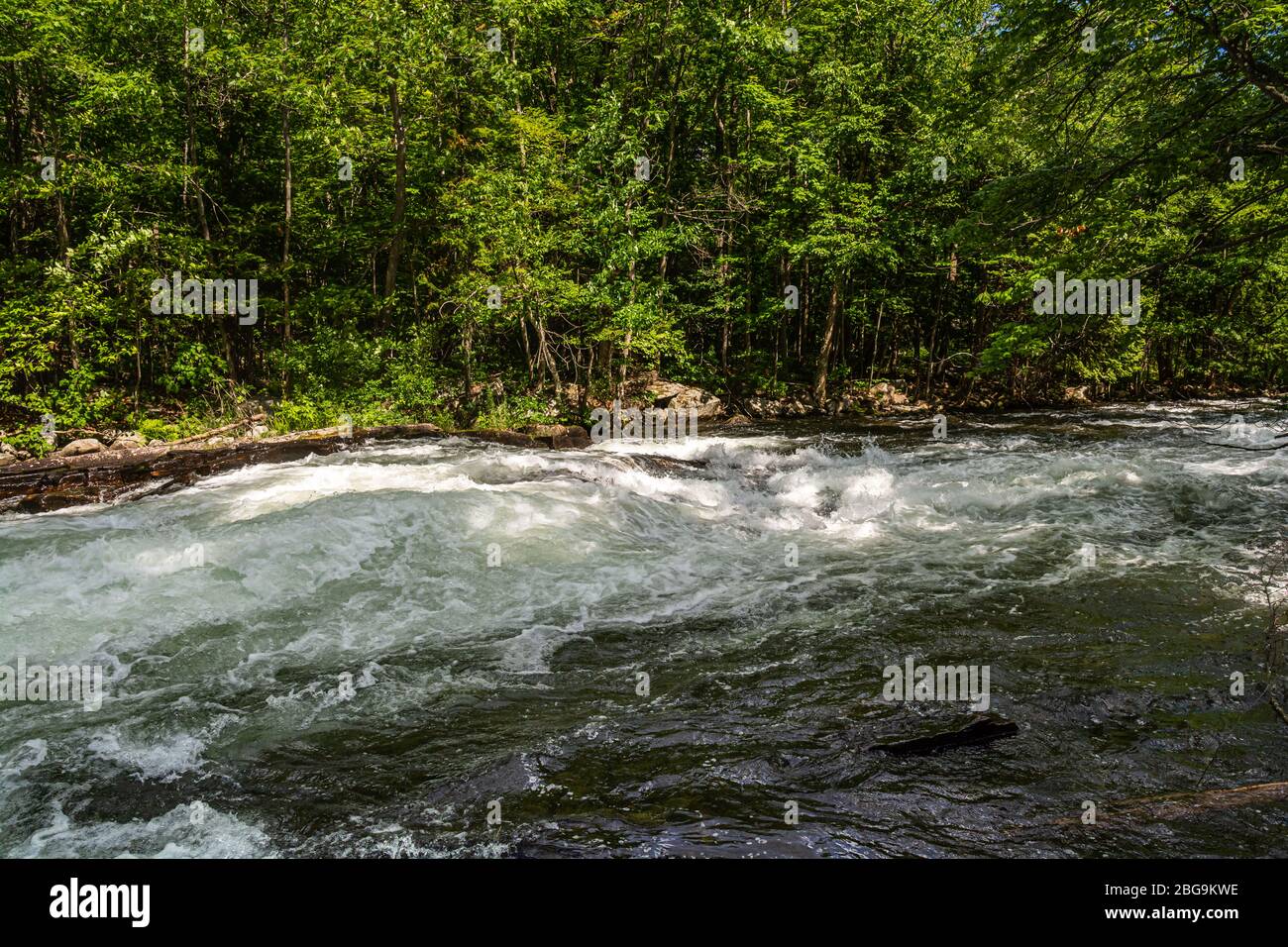 Buttermilk Falls Haliburton County Algonquin Highlands Ontario Canada