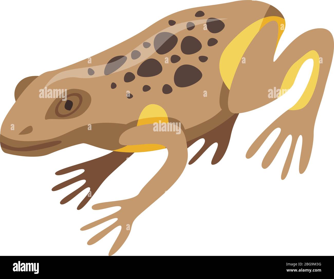 Frog icon, isometric style Stock Vector