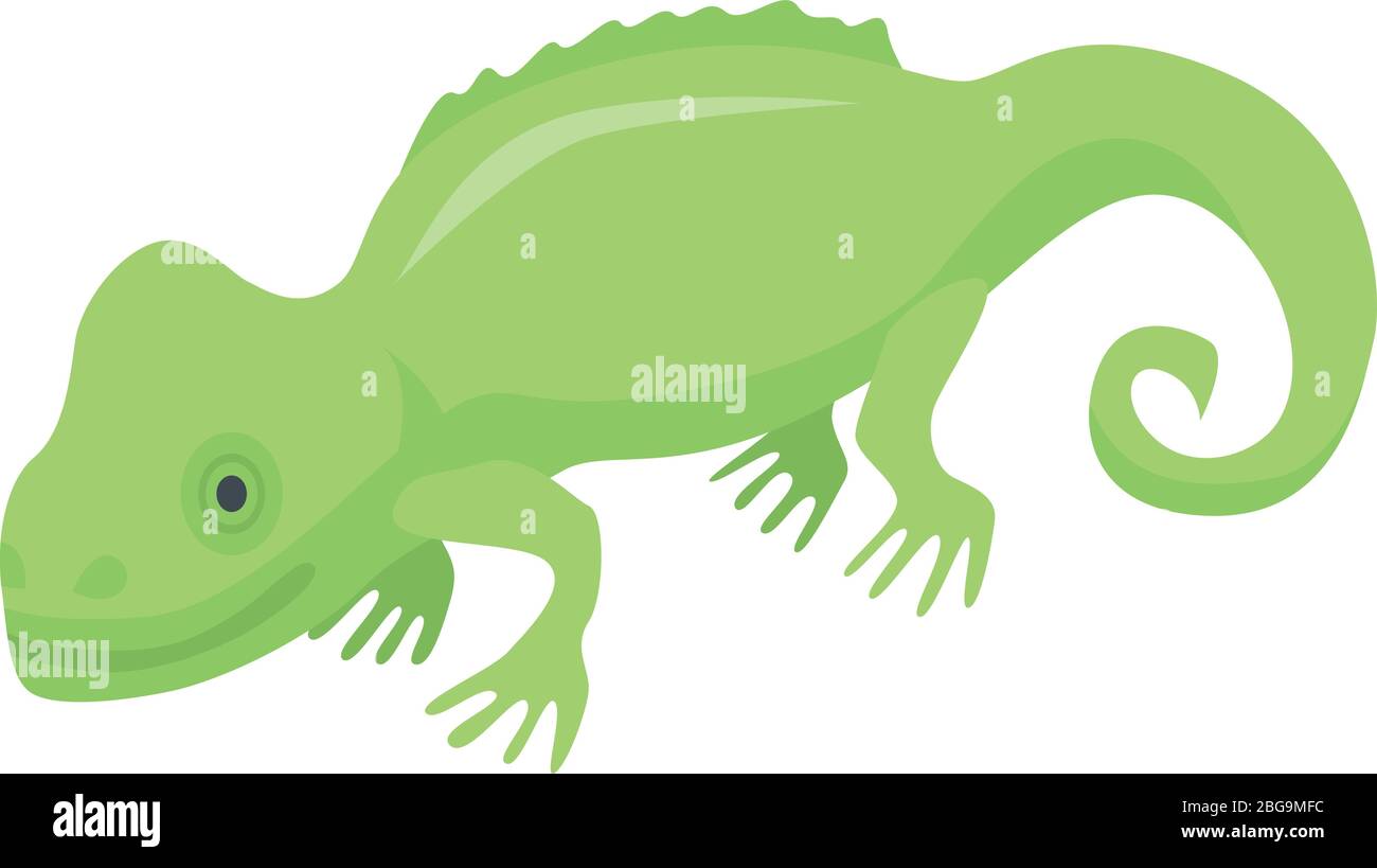 Green chameleon lizard icon, isometric style Stock Vector